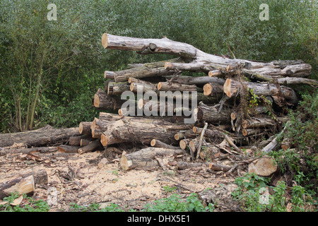 Haufen der Schnittware. Stockfoto