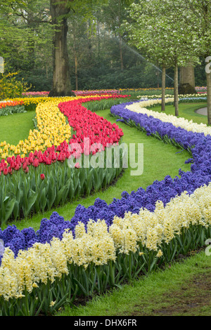 Niederlande, Lisse, Keukenhof Gärten Stockfoto