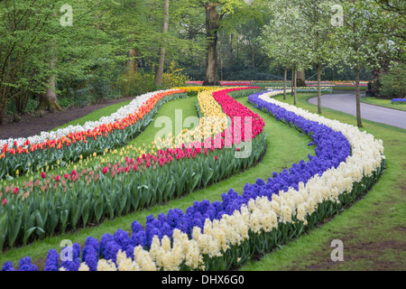 Niederlande, Lisse, Keukenhof Gärten Stockfoto