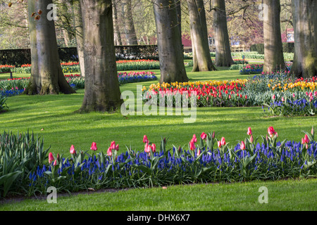 Niederlande, Lisse, Keukenhof Gärten Stockfoto