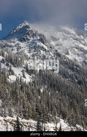 Wolken steigen um ein Schnee gehüllt Mount Angeles im Winter Olympic Nationalpark, Washington zu enthüllen. Stockfoto