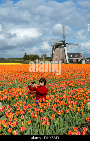 Niederlande, Noordwijkerhout, Tulpenfeld, Windmühle. Tourist, Frau, Aufnahme Stockfoto