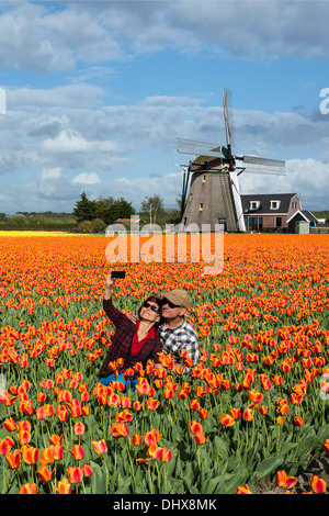 Niederlande, Noordwijkerhout, Tulpenfeld, Windmühle. Touristen-paar unter Bild Stockfoto
