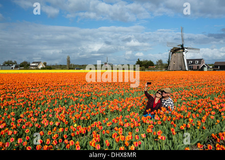 Niederlande, Noordwijkerhout, Tulpenfeld, Windmühle. Touristen-paar unter Bild Stockfoto