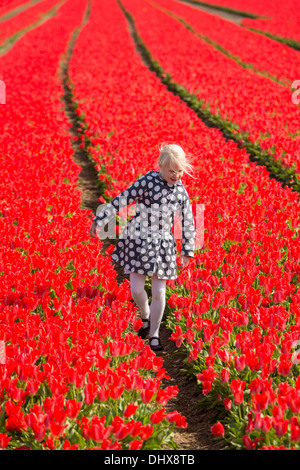 Niederlande, Lisse, Kind zu Fuß im Tulpenfeld Stockfoto