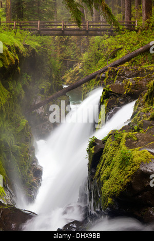 Sol Duc verliebt sich in Olympic Nationalpark, Washington. Stockfoto