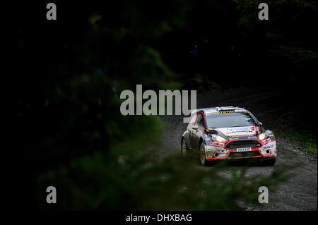 Powys, Wales. 15. November 2013. Fahren ihre DMACK - AUTOTEK WRC 2 Ford Fiesta R5 auf dem zweiten Durchlauf der Myherin Phase (SS9) Tag 2 der Wales-Rallye Großbritannien, die letzte Runde der 2013 FIA Rallye WM, Jari Ketomaa und Tapio Suominen von Finnland (FIN). Bildnachweis: Aktion Plus Sport/Alamy Live-Nachrichten Stockfoto