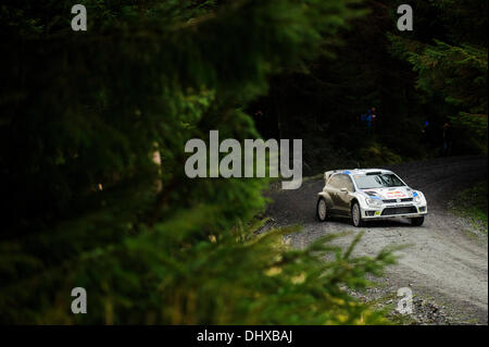 Powys, Wales. 15. November 2013. Während der Tag 2 der Wales-Rallye Großbritannien, die letzte Runde der 2013 FIA Rallye WM fahren Jari-Matti Latvala und Miikka Anttila von Finnland (FIN) ihren VOLKSWAGEN MOTORSPORT Volkswagen Polo R WRC auf dem zweiten Durchlauf der Myherin Bühne (SS9). Bildnachweis: Aktion Plus Sport/Alamy Live-Nachrichten Stockfoto