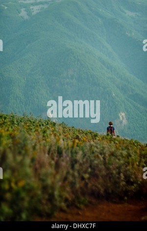 Weibliche Wanderer auf Blumenwiese Blick auf Bergrücken, Ansicht von hinten Stockfoto