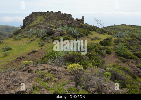 in der Nähe von Alajero La Gomera Kanarische Inseln Spanien Stockfoto