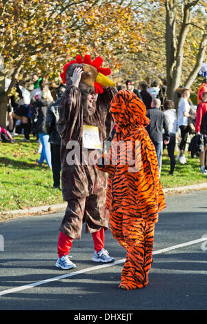 Läufer in Fancy Dress Kostüme, die Teilnahme am Rennen auf der Cambridge Fun Run zugunsten der BBC Kinder in Not 15. November 2013 Cambridge, England Stockfoto