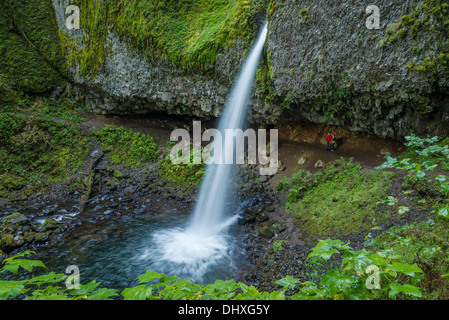 Wanderer am Wanderweg hinter Pferdeschwanz fällt (aka Upper Schachtelhalm Falls), Columbia River Gorge National Scenic Area, Oregon. Stockfoto