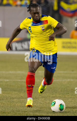 ein Unentschieden, 0: 0. 15. November 2013. Ecuador nach vorne Felipe Caicedo (8) in Aktion während der internationalen Fußball-Gillette Series Spiel zwischen Argentinien und Ecuador im MetLife Stadium in East Rutherford, New Jersey. Das Spiel endet unentschieden, 0: 0. (Christopher Szagola/Cal Sport Media) © Csm/Alamy Live-Nachrichten Stockfoto