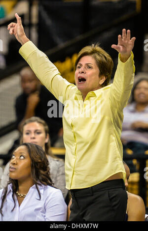 -Orlando, FL, U. 15. November 2013. S: FIU Cheftrainer Cindy Russo während der ersten Hälfte Frauen NCAA Basketball-Spiel Aktion zwischen den FIU Panthers und die UCF Knights im CFE Arena in Orlando, FL. © Csm/Alamy Live-Nachrichten Stockfoto