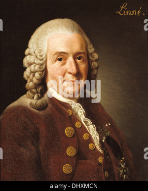 Carl Linnaeus (Carl von Linné) - von Alexander Roslin, 1775 Stockfoto