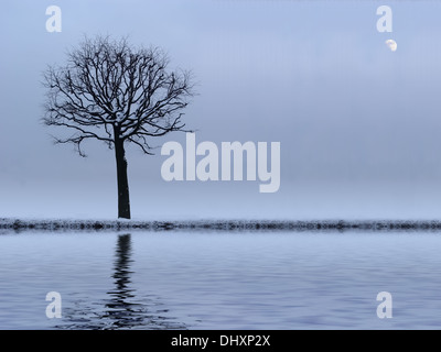 Einsamer Baum und Spiegel-Fluss (siehe mehr in meinem Portfolio) Stockfoto