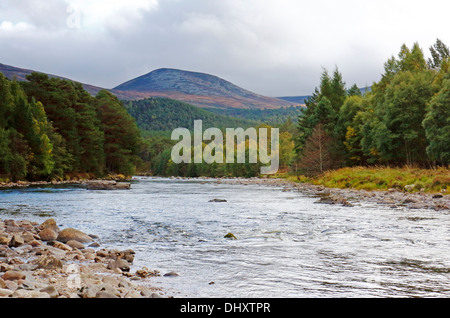 Ein Blick auf den Fluss Dee schlängelt sich durch Ballochbuie Wald, in der Nähe von Braemar, Aberdeenshire, Schottland, Vereinigtes Königreich. Stockfoto