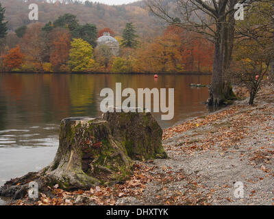 Lake Windermere, Cumbria, UK.  15. November 2013. Letzte Spuren von Herbstfarben an Waterhead Ambleside. Bildnachweis: Sue Burton/Alamy Live-Nachrichten Stockfoto