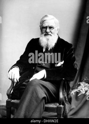 Alfred Russel Wallace, britischer Naturforscher Stockfoto