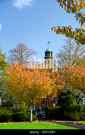 Cardiff Universitätsgebäude von Alexandra Gardens, Cathays Park, Cardiff, Wales, UK. Stockfoto