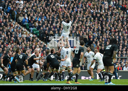 Twickenham, Großbritannien. 16. November 2013. Englands Courtney Lawes, fängt den Ball in einen Lineout während der QBE internationalen Rugby-Union-match zwischen England und Neuseeland gespielt im Twckenham Stadion, am 16. November 2013 in Twickenham, England. Bildnachweis: Mitchell Gunn/ESPA/Alamy Live-Nachrichten Stockfoto