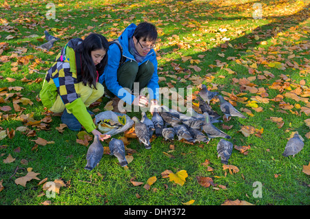 Zwei Menschen, die wilde Stadt Tauben füttern Brot aus der Hand, in einem öffentlichen Park, Glasgow, Schottland, UK Stockfoto