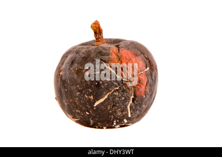 dunkle ein fauler Apfel Obst isoliert auf weißem Hintergrund Stockfoto