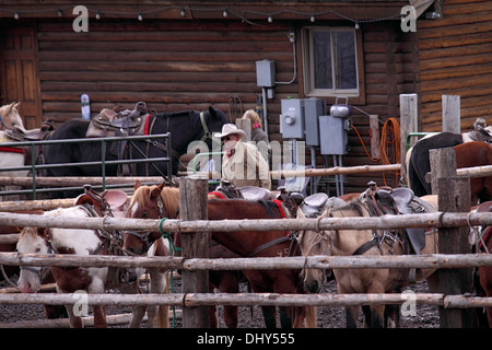 Horse Corral bei riding Niederlassung in Wyoming Stockfoto