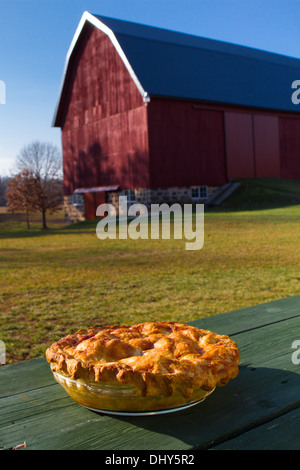 Hausgemachter Apfelkuchen außerhalb Cool mit freundliches und ein Hund im Hintergrund Stockfoto