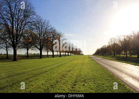 Herbstsonne auf der Long Walk, Windsor, Berkshire, Großbritannien. Stockfoto