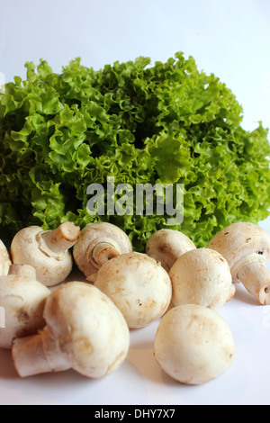 schöne Agaric und bereit für das Kochen der Kopfsalat Stockfoto