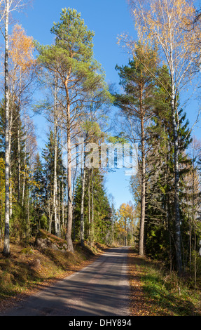 Beautiful autumn in Finland Stockfoto