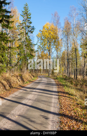 Schöner Herbst in Finnland Stockfoto