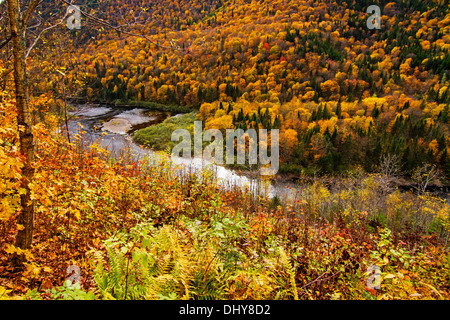 Wald in Herbstmorgen Landschaft-Jacques Cartier National Park-Kanada Stockfoto