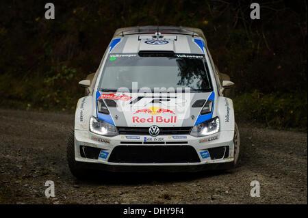 Powys, Wales. 16. November 2013. Sebastien Ogier und Julien Ingrassia von Frankreich (FRA) fahren ihre VOLKSWAGEN MOTORSPORT Volkswagen Polo R WRC beim ersten Durchgang der Dyfi Bühne (SS11) bei Tag 3 der Wales-Rallye Großbritannien, die letzte Runde der 2013 FIA Rallye WM. Bildnachweis: Aktion Plus Sport/Alamy Live-Nachrichten Stockfoto