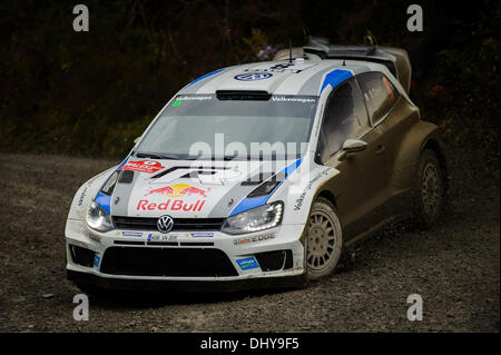 Powys, Wales. 16. November 2013. Sebastien Ogier und Julien Ingrassia von Frankreich (FRA) fahren ihre VOLKSWAGEN MOTORSPORT Volkswagen Polo R WRC beim ersten Durchgang der Dyfi Bühne (SS11) bei Tag 3 der Wales-Rallye Großbritannien, die letzte Runde der 2013 FIA Rallye WM. Bildnachweis: Aktion Plus Sport/Alamy Live-Nachrichten Stockfoto