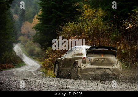 Powys, Wales. 16. November 2013. Sebastien Ogier und Julien Ingrassia von Frankreich (FRA) fahren ihre VOLKSWAGEN MOTORSPORT Volkswagen Polo R WRC beim ersten Durchgang der Dyfi Bühne (SS11) bei Tag 3 der Wales-Rallye Großbritannien, die letzte Runde der 2013 FIA Rallye WM. Bildnachweis: Aktion Plus Sport/Alamy Live-Nachrichten Stockfoto