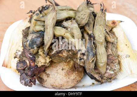 Traditionelle anden Essen genannt Pachamanca. Peru. Stockfoto