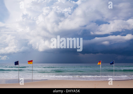 Schwimmen-Flaggen am Strand Stockfoto