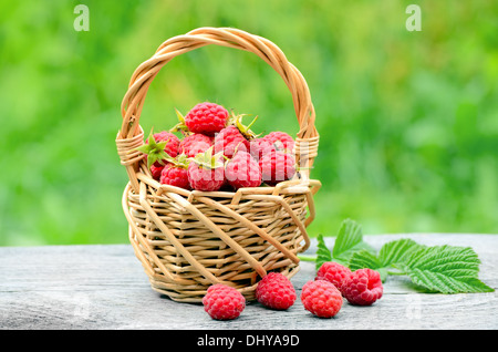 Frische reife Himbeeren im Weidenkorb auf Holztisch Stockfoto