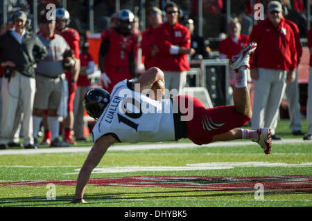 Piscataway, New Jersey, USA. 16. November 2013. 16. November 2013: Cincinnati Bearcats Schlussmann Jordan Luallen (10) verzieht seinen Körper, wie er auf dem Arm während des Spiels zwischen Cincinnati Bearcats und Rutgers Scarlet Knights im Höhepunkt-Lösungen-Stadion in Piscataway, New Jersey fällt. Die Cincinnati Bearcats besiegen The Rutgers Scarlet Knights 52-17. Bildnachweis: Csm/Alamy Live-Nachrichten Stockfoto