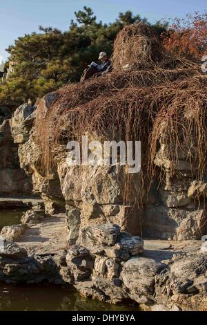 Peking, China. 12. November 2013. Der Tempel der Sonne befindet sich im Chaoyang District, Beijing, China. Ein weiterer heisst Ritan Park. © Jiwei Han/ZUMA Wire/ZUMAPRESS.com/Alamy Live-Nachrichten Stockfoto