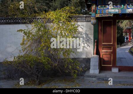 Peking, China. 14. November 2013. Beihai-Park ist eine kaiserliche Garten nordwestlich der verbotenen Stadt in Peking. © Jiwei Han/ZUMA Wire/ZUMAPRESS.com/Alamy Live-Nachrichten Stockfoto