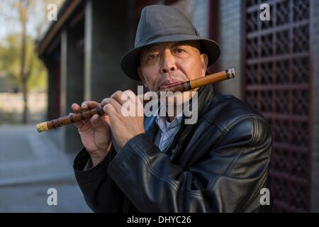 Peking, China. 14. November 2013. Beihai-Park ist eine kaiserliche Garten nordwestlich der verbotenen Stadt in Peking. © Jiwei Han/ZUMA Wire/ZUMAPRESS.com/Alamy Live-Nachrichten Stockfoto