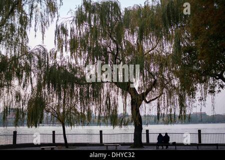 Peking, China. 14. November 2013. Beihai-Park ist eine kaiserliche Garten nordwestlich der verbotenen Stadt in Peking. © Jiwei Han/ZUMA Wire/ZUMAPRESS.com/Alamy Live-Nachrichten Stockfoto