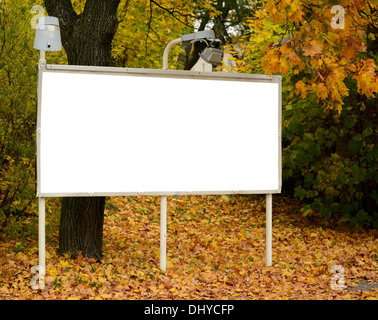 Leeren Plakatwand im herbstlichen Wald Stockfoto