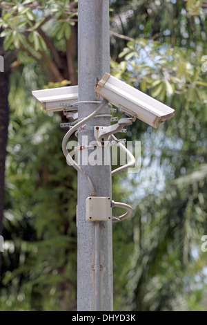 Die Bild-CCTV-Kameras an Strommasten. Stockfoto