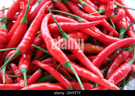 Nahaufnahme Bild eine Menge von Red hot Chili. Stockfoto