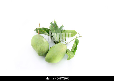 Grüner Mango und Blätter auf weißem Hintergrund. Stockfoto