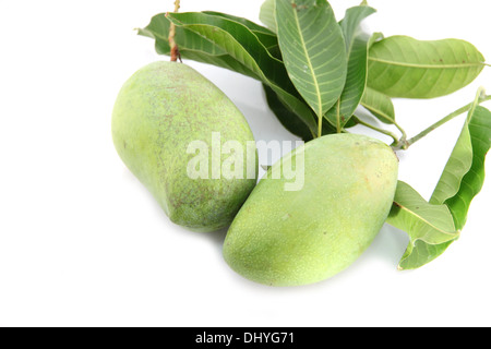 Grüner Mango und Blätter auf weißem Hintergrund. Stockfoto